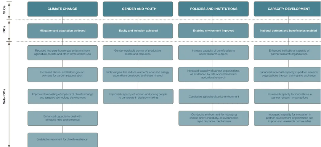 FIGURE 3: SRF CROSS-CUTTING ISSUES AND OUTCOMES AT THE INTERMEDIATE DEVELOPMENT OUTCOME (IDO) AND SUB-IDO LEVELS