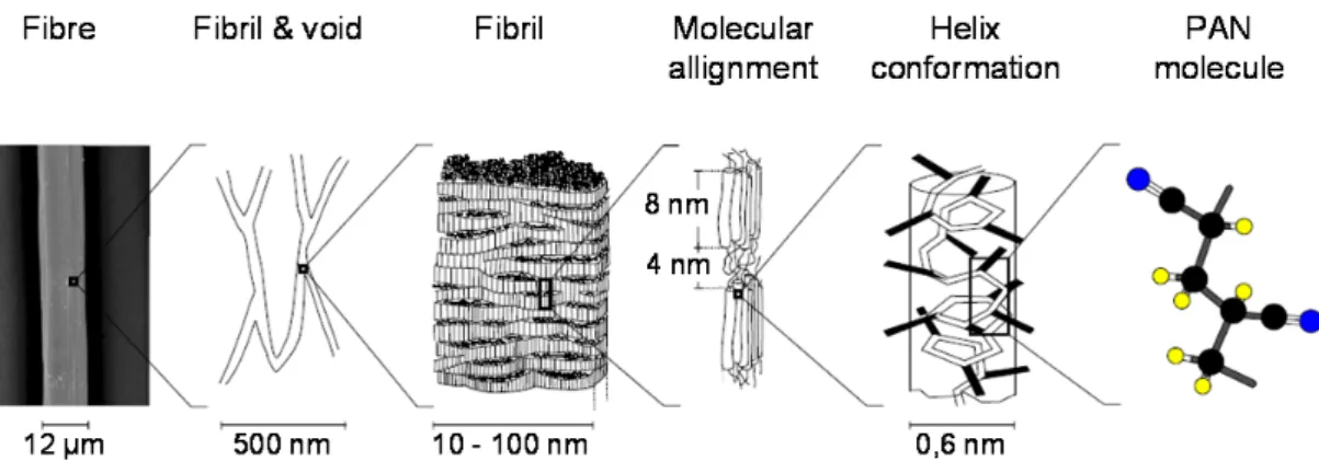 Figure 3: Fibre structure of a PAN precursor, partially based on (Masson, 1995) 