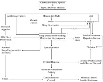 Fig 8 . The relation between diabetes mellitus and sleep 