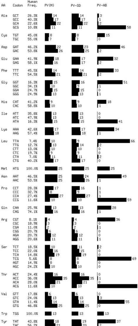 FIG. 1. Codon use statistics in synthetic P1 capsid designs. PV-SDmaintains nearly identical codon frequencies compared to wt, while