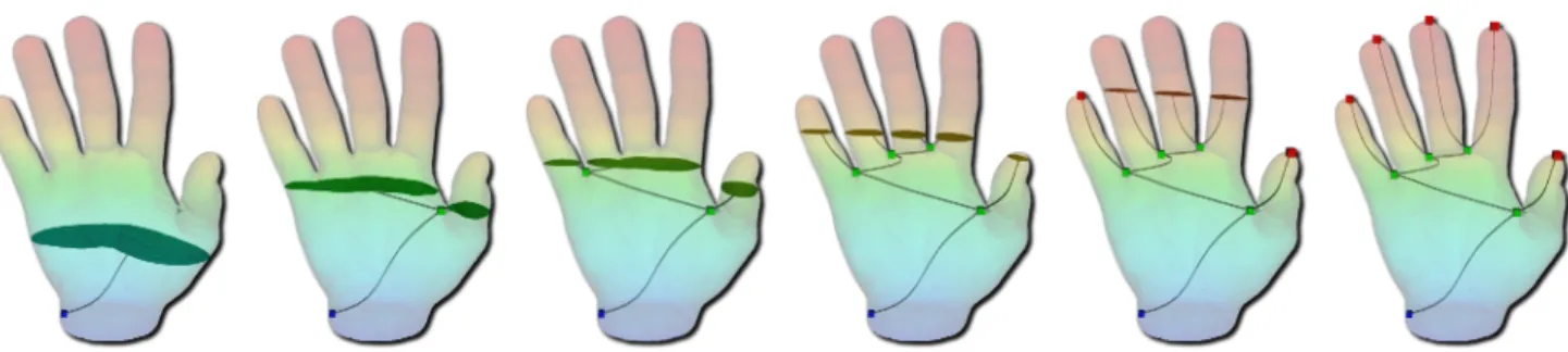 Figure 3. Height function on a manifold volume. From left to right: the contours of f are continuously contracted to nodes in the contour tree as w increases