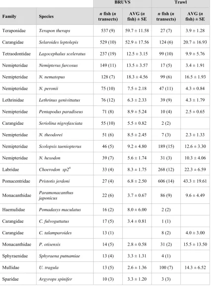 Table 4.4. Abundance (n fish) and occurrence (n transects) of species common to both techniques, ranked 
