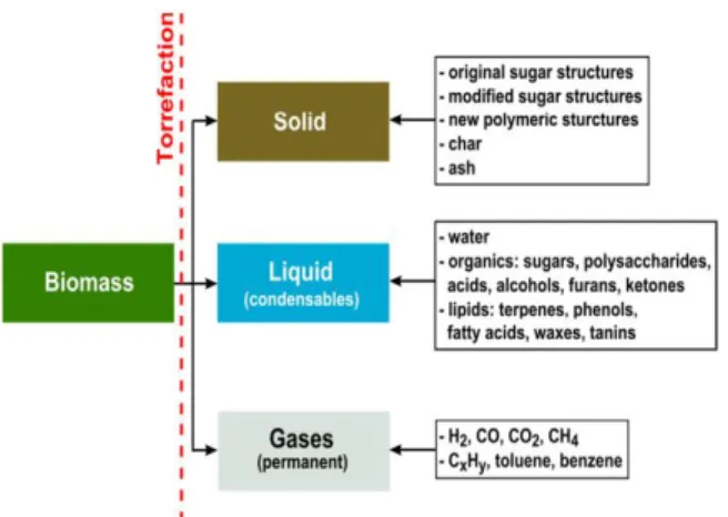 Fig. 1 Composition of the torrefaction reaction products (Bergman et  al., 2005) 