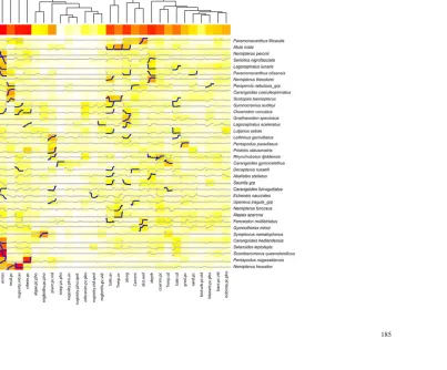Figure 7.2. See caption on page 184. 