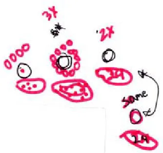 Figure 10. Annie's sharing pattern based on multiplicative relations. 