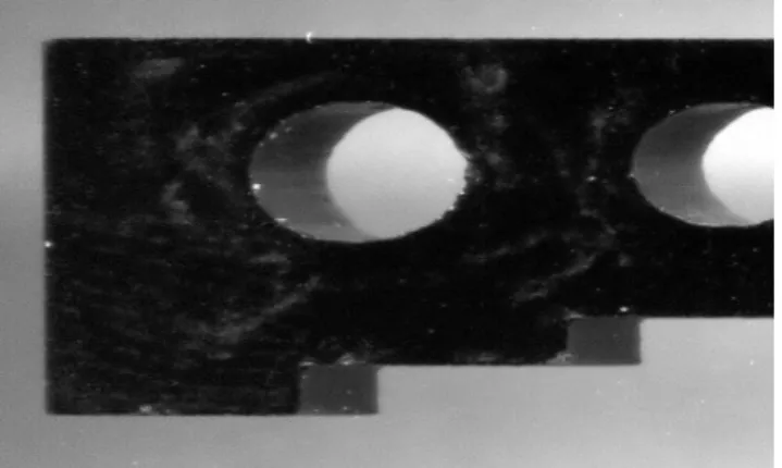 Figure 1: FBS captured both front view and side view image.