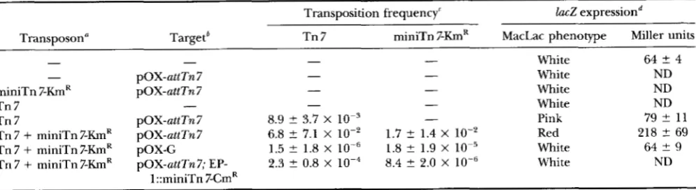 TABLE 3 