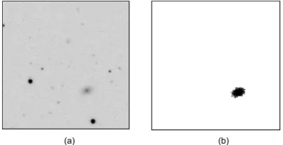 Fig.11 Result of applying opening by reconstruction to the result of the POHMT for each image in Fig.10(b)