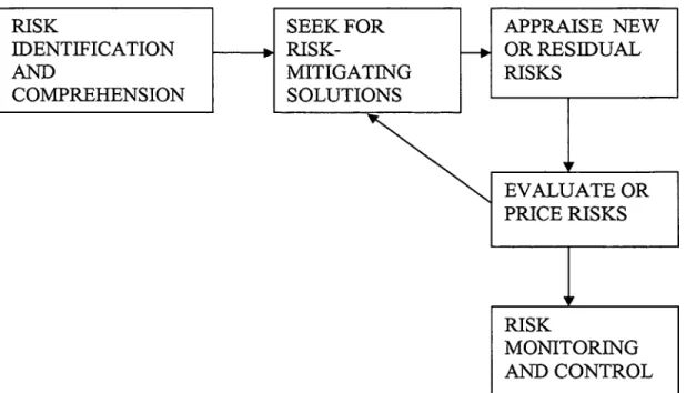 FIGURE 3.1 THE RISK MANAGEMENT PROCESS [adapted from 13] 