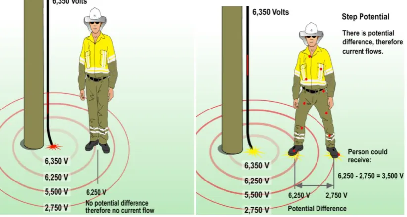 Figure 12: Earth potential (Ergon Energy, 2011) 