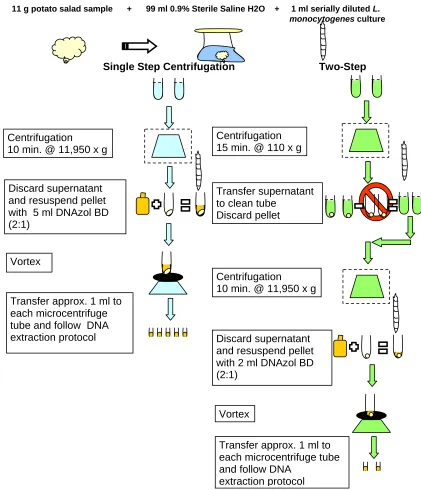 Figure 2.1. Schematic of 1-step and 2-step centrifugation upstream sample processing  methods, followed by subsequent DNA extraction.