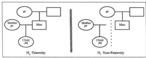FIGURE 1.-The paternity problem posed as pedigrees. 