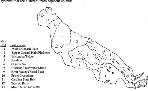Figure 3. Generalized Soils of the Neuse River Basin 