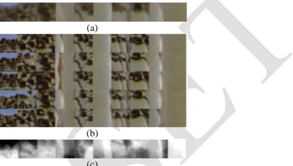 Fig 2: Visualization of sparse shape representation. (a) Example codewords for sparse shape representation