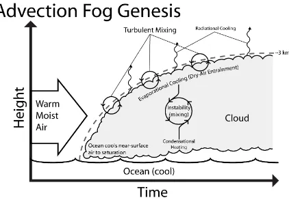 Figure 2.6. Schematic of the processes inferred in the transition from advection fog into 