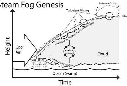 Figure 2.8. Schematic of the processes inferred in the transition from steam fog into 