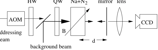 Figure 1. Scheme of the experimental setup. QW: quarter–wave plate, HW: half–wave plate, AOM: acousto–opticmodulator, Na+N2: sodium cell.