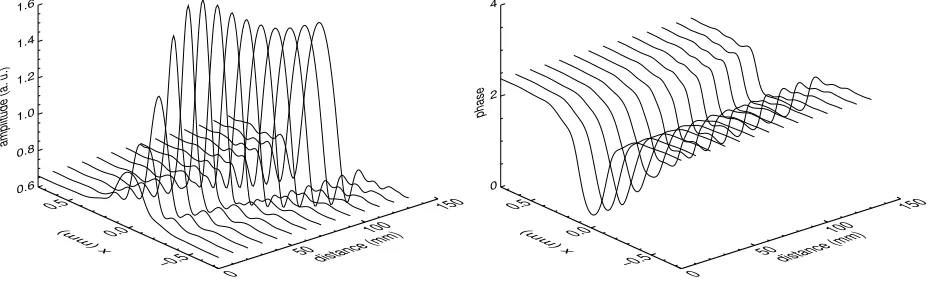 Figure 5. Numerically calculated amplitude and phase of the light ﬁeld produced by a LS during the propagationbetween the sodium vapor and the mirror