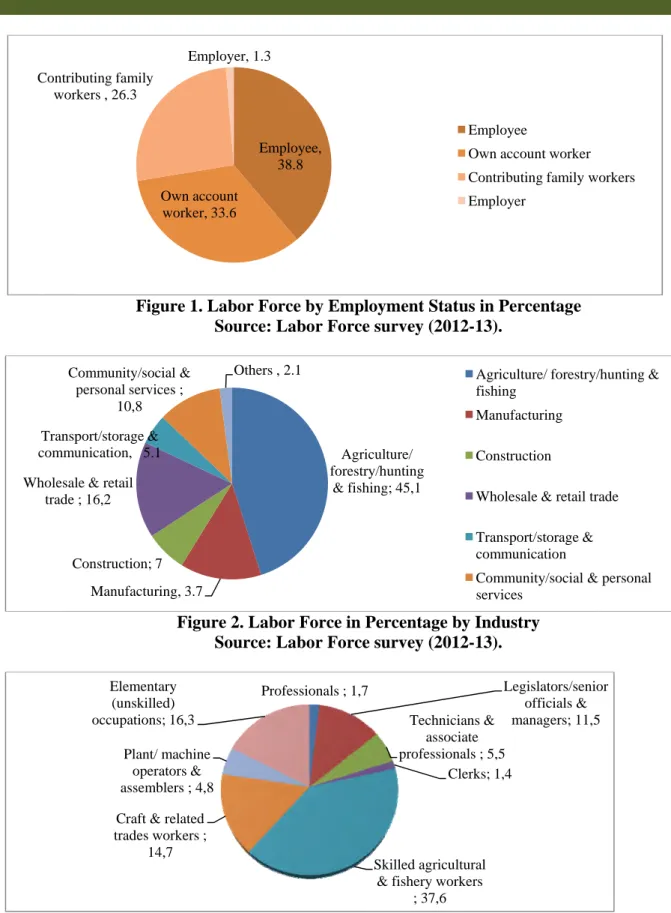 Figure 2. Labor Force in Percentage by Industry  Source: Labor Force survey (2012-13)