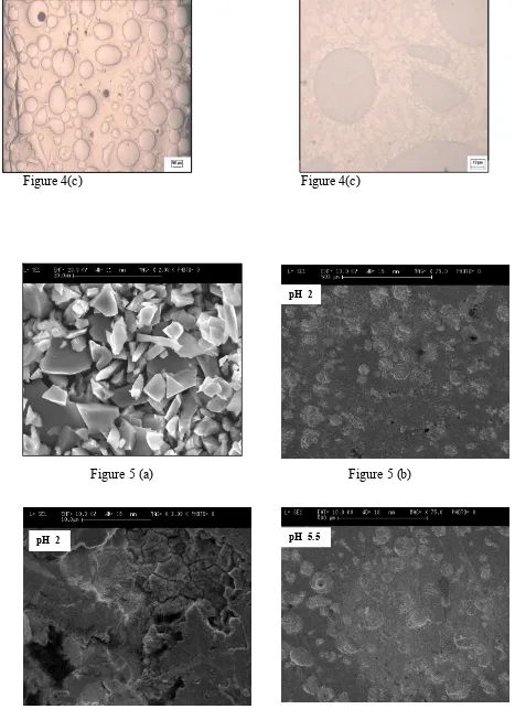 Figure 4(c)  