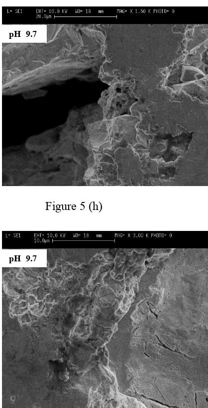 Figure 5 (h) 