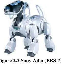 Figure 2.3. Canis is capable of distinguishing the ball, its target, from the box, which is 