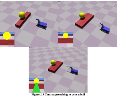 Figure 2.3 Canis approaching to poke a ball 