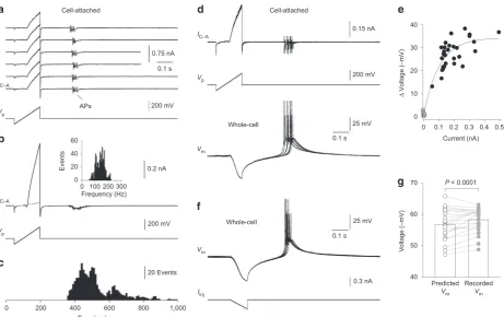 Figure 1 | Ensemble potassium channel activity in cell-attached patches triggers action potential firing