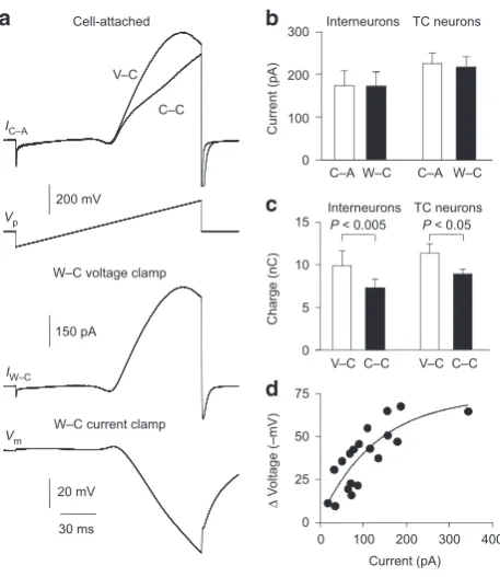 Figure 2 | Ensemble potassium channel activity in cell-attached patches generates whole-cell currents