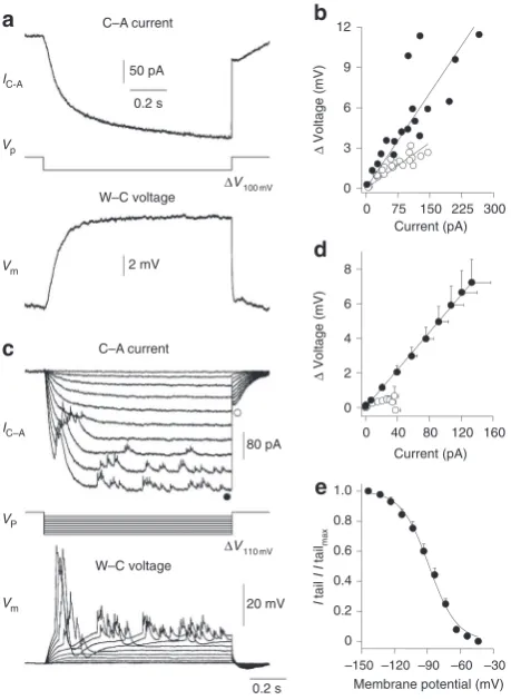 Figure 8 | Ensemble sodium channel activity is accurately reported in cell-attached patches