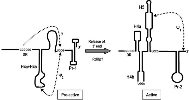 FIG. 7. Computer-generated structure for satD contains both H5-and H4b-like elements. Full-length satD was subjected to computa-