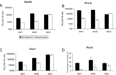 FIG. 3. Transduction and binding on sialic acid-deﬁcient cell lines.(A) Transduction of CHO cells (Pro-5) and sialic acid-deﬁcient CHO