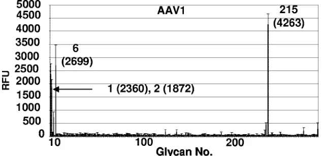 FIG. 10. AAV1 capsid glycan speciﬁcity on glycan array. A total of 264 glycans were screened for binding to the capsids as described inMaterials and Methods