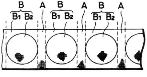 Figure 2.11 