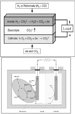 TABLE 1. COMPARISON OF VARIOUS FUEL CELL TECHNOLOGIES [17]. 