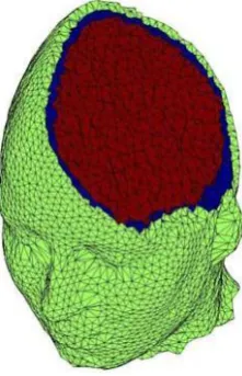 Figure 3.3: Sample FEM tetrahedral mesh with tissue classification using BrainSuite2  [Darvas et al, 2004]