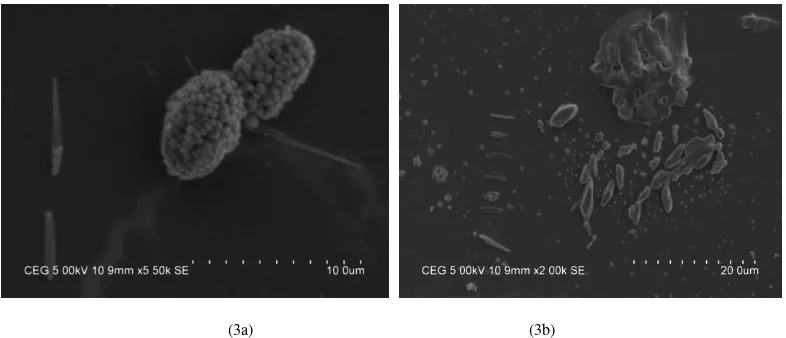 Fig. 2 XRD patterns of ZnS thin films prepared at 85°C & 150°C 