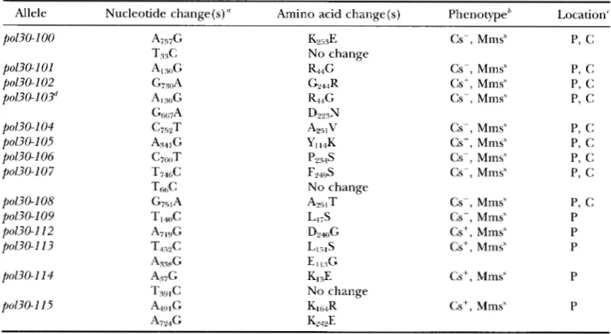 TABLE 2 