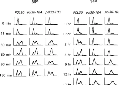 FIGURE L!!4LLLh y away, the cultures were released to the permissive monitored over time by and 3.-Progression of pol30 cells through S phase at 14"