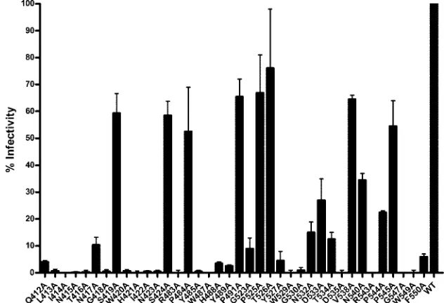 TABLE 1. CD81 binding of mutant E1E2 clones does notpredict their infectivity in the HCVpp assay a