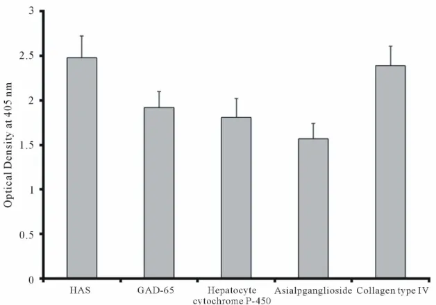 Figure 9. Reaction of monoclonal anti-α-gliadin 33-mer to α-gliadin 33-mer and various tissue and food antigens by dot-blot