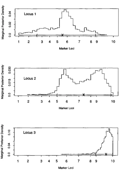FIGURE 8.-Three-QTL densities shown tions model. (A-C) Marginal posterior of the three putative  loci are shown