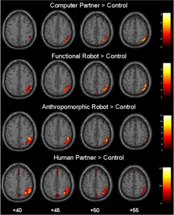 Fig. 12 Regions associated with ‘theory of mind’ grow more active as the 