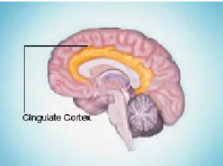 Fig. 3 Each 