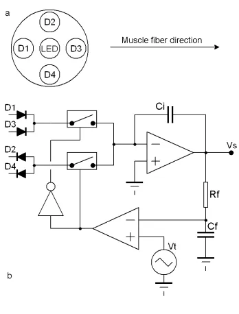Figure 2  