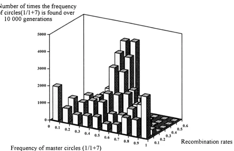 FIGURE 7.-Transitions between equilibria. The distribution of the frequencies of master circle are pattern corresponding rates, the two neutral diallelic locus the  pattern corresponding 1 over  master  circles 1 and 7 represented for 10,000 generations fo