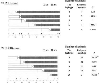 FIGURE 4.-Frequency with vertical bars. below the chromosomes illustrates the value of observing a similar or  greater deviation from the expected between the two markers depicted with vertical bars