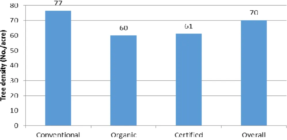 Figure 7. Tree density by type of coffee plantation (number per acre) 