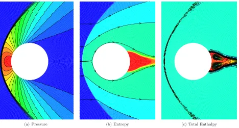 Figure 2.Mach 4 ﬂow past a cylinder: contours of steady state solution