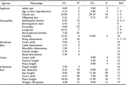 TABLE 5 